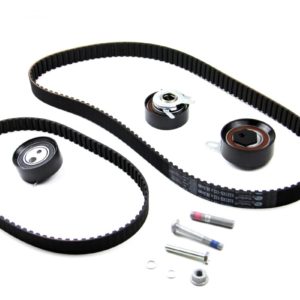 Triger Seti ( Mazot Pompa Ve Rulmanları Dahil ) 074198119Q T4 -LT35